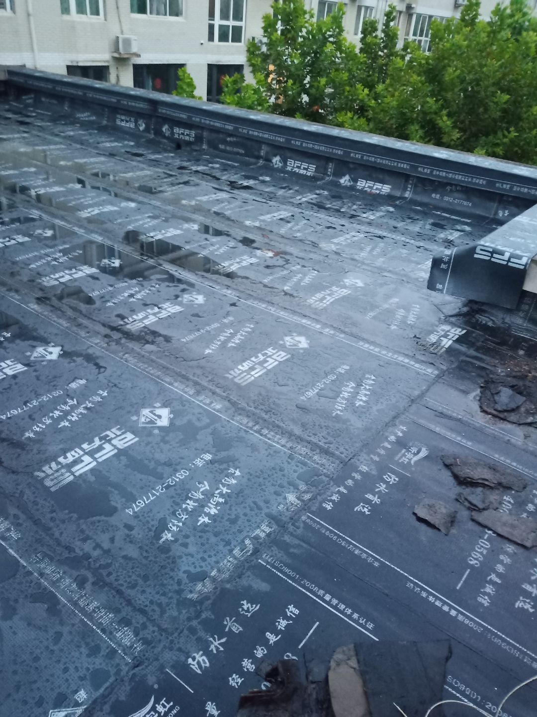 1615515149421274nCHw.jpg 1615515149421274nCHw.jpg